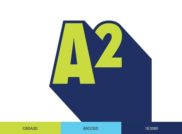 Ann Arbor brand color palette