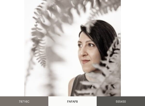 Anooistudio brand color palette