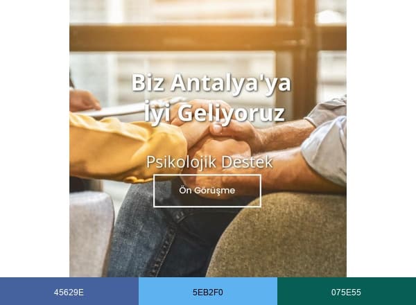 Antalya Terapi Merkezi brand color palette
