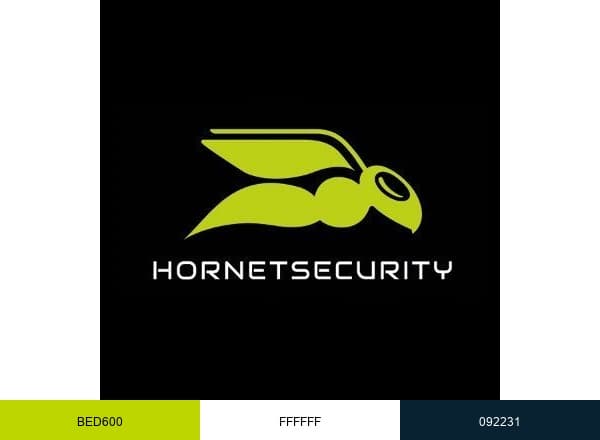 Hornetsecurity brand color palette