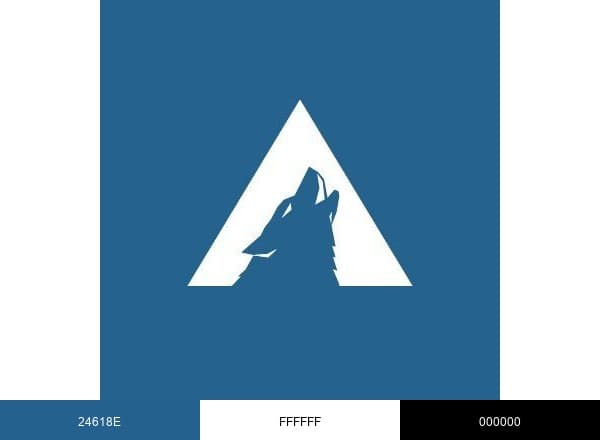 Arctic Wolf Networks brand color palette