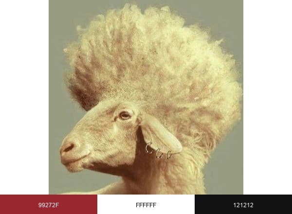 Art Sheep brand color palette