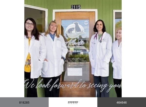 Atlantic Veterinary Hospital | Seattle WA brand color palette