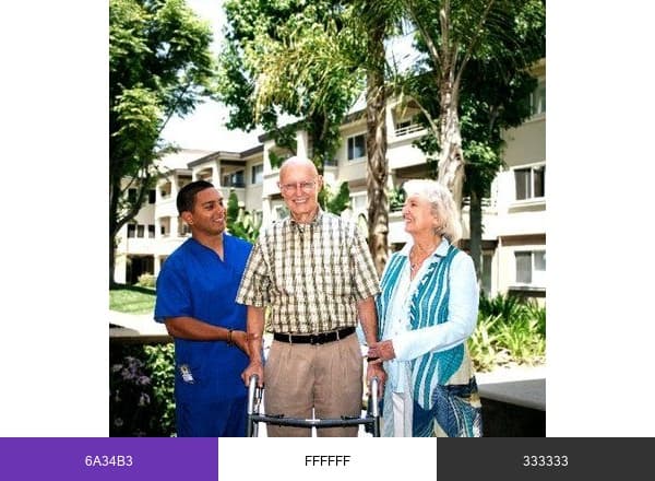 Attentive Home Care brand color palette