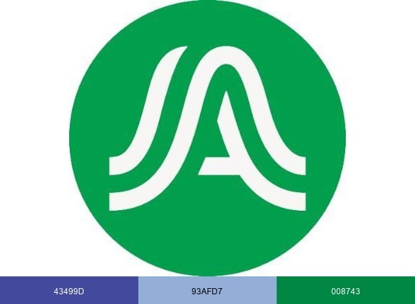 Austin Energy brand color palette