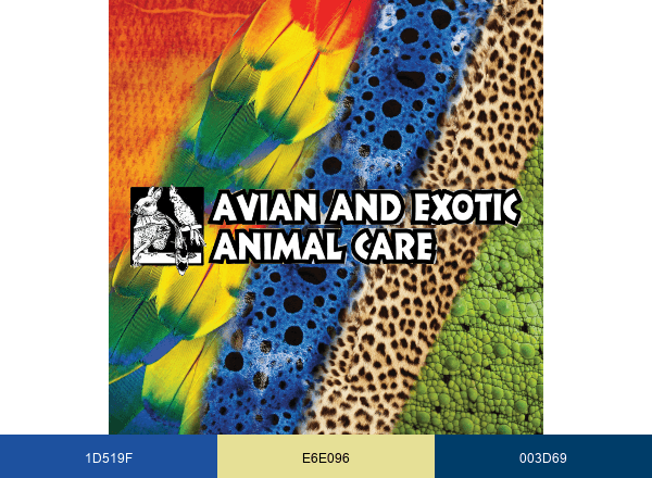 Avian And Exotic brand color palette