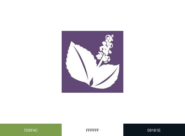 National Ayurvedic Medical Association brand color palette