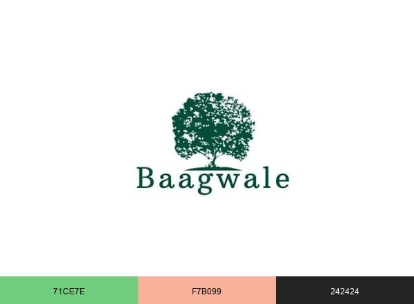 Baagwale brand color palette