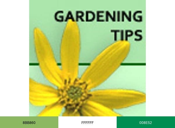 Backyardgardener brand color palette