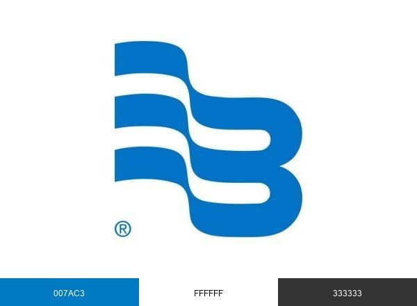 Badger Meter brand color palette