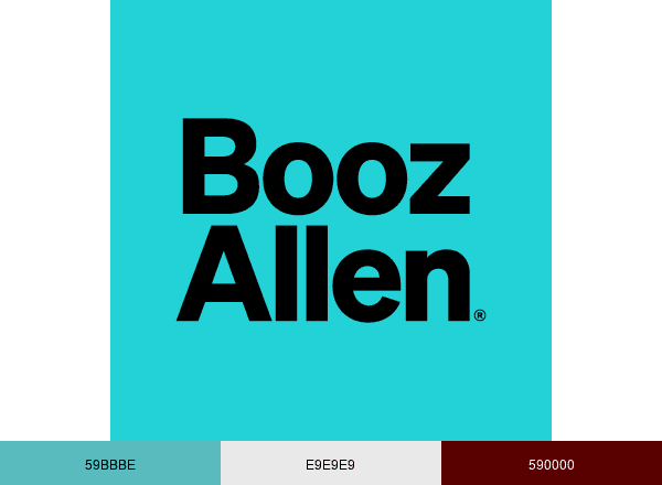 Booz Allen Hamilton brand color palette