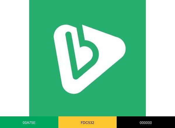Banimode brand color palette
