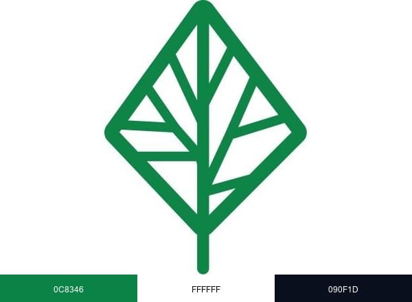 BANYAN brand color palette
