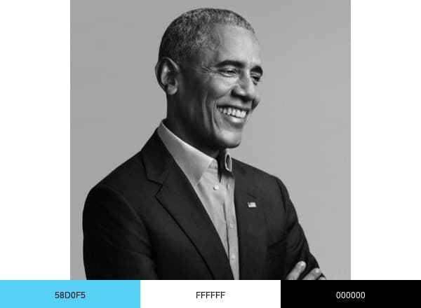 Barack Obama brand color palette