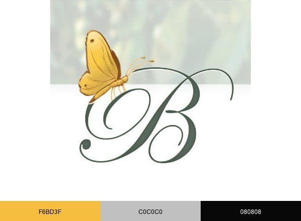 Barkev's brand color palette