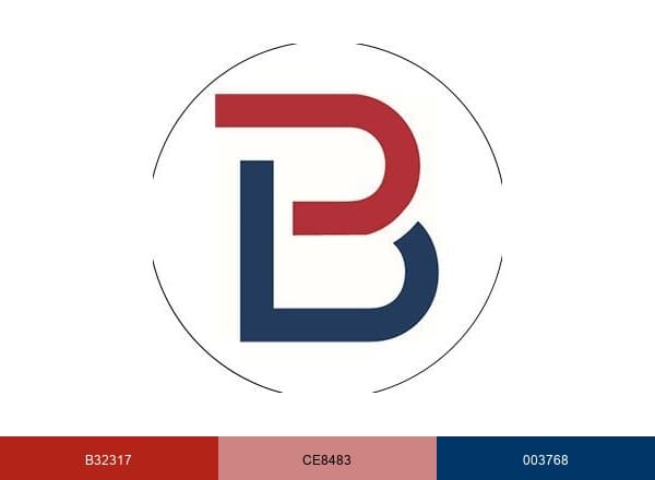 Bazelon Center for Mental Health Law brand color palette