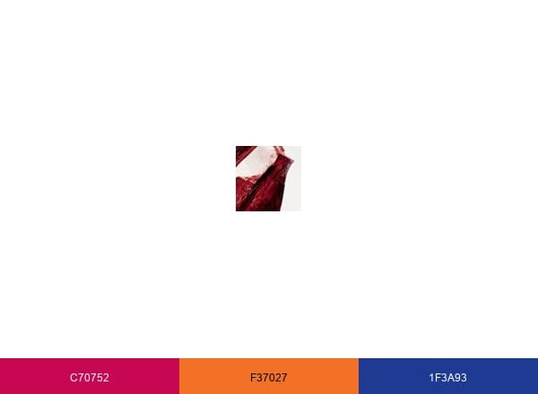BC Liquor Distribution Branch brand color palette