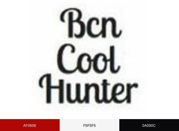 BCN Cool Hunter brand color palette