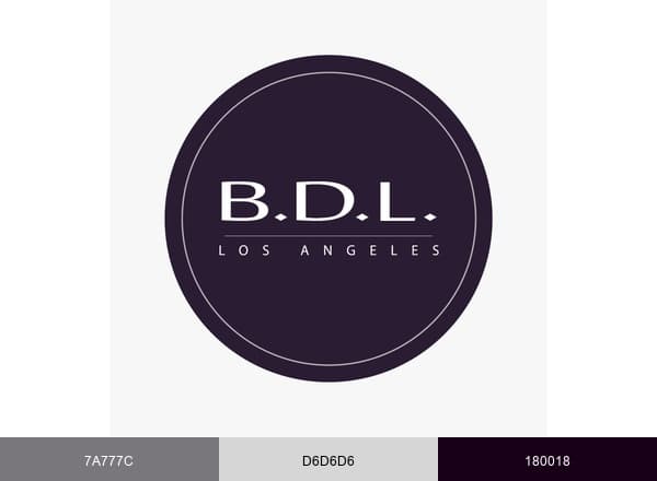 B. David Levine brand color palette