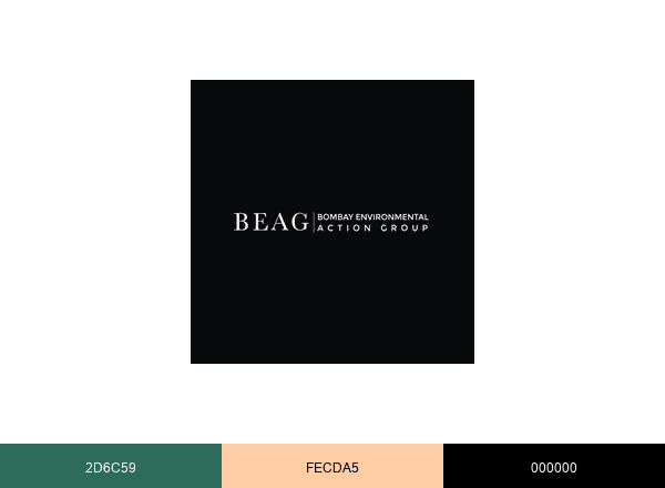 BEAG brand color palette