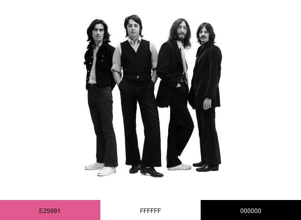 The Beatles Bible brand color palette