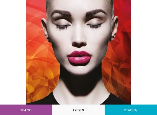 BEAUTYISTANBUL brand color palette