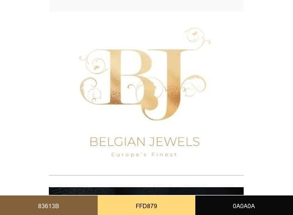 Belgian Jewels-Pakistan brand color palette