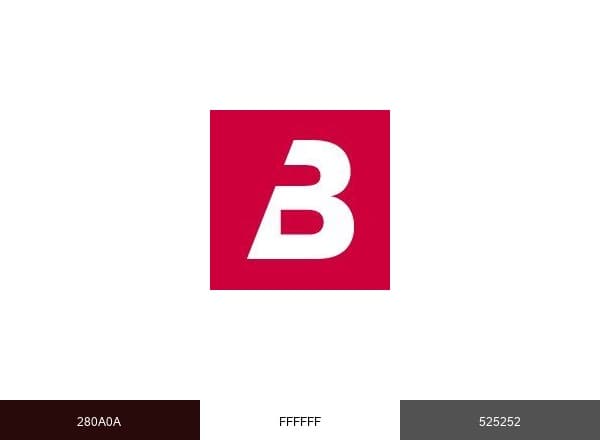 Bernmobil brand color palette