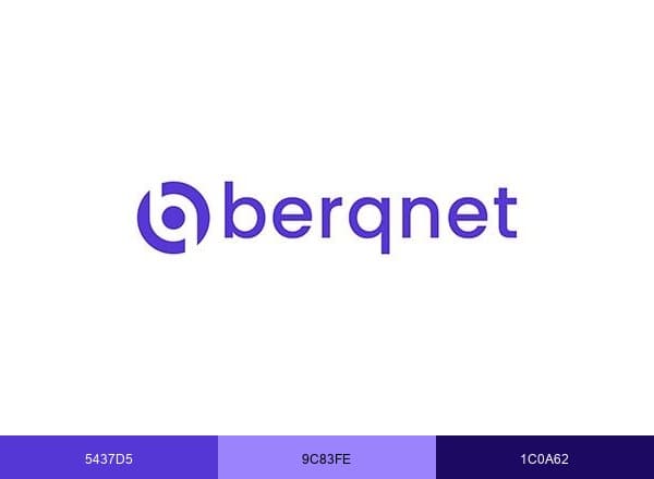 Berqnet Siber Güvenlik brand color palette