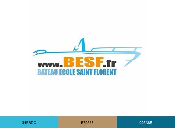 BESF brand color palette