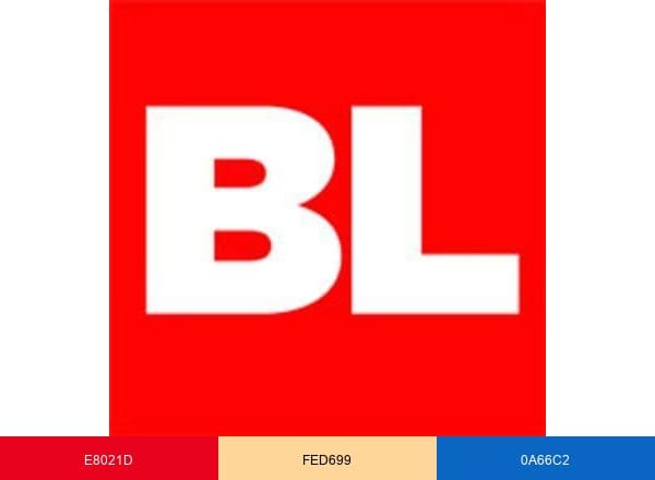 BestLife brand color palette