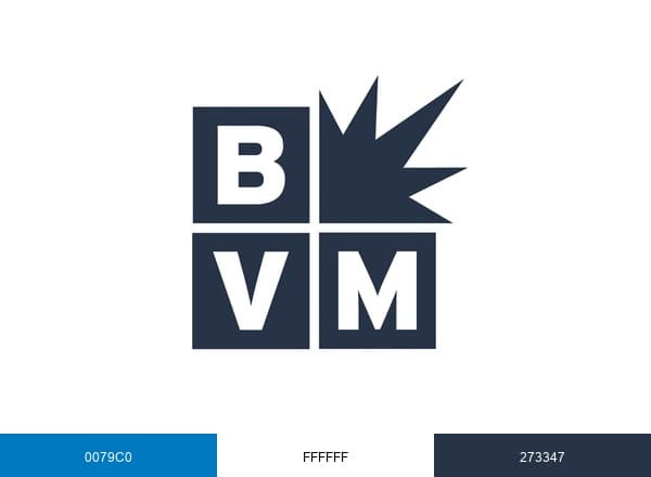 Best Version Media brand color palette