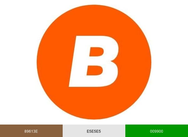 Betonstunter brand color palette
