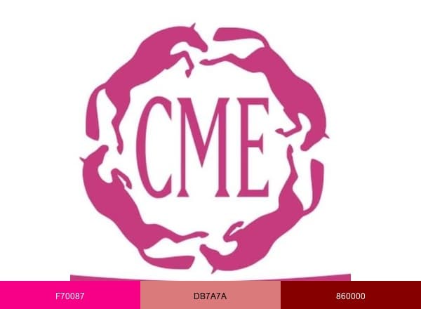CME brand color palette