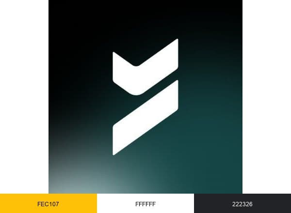 Beyond Identity brand color palette