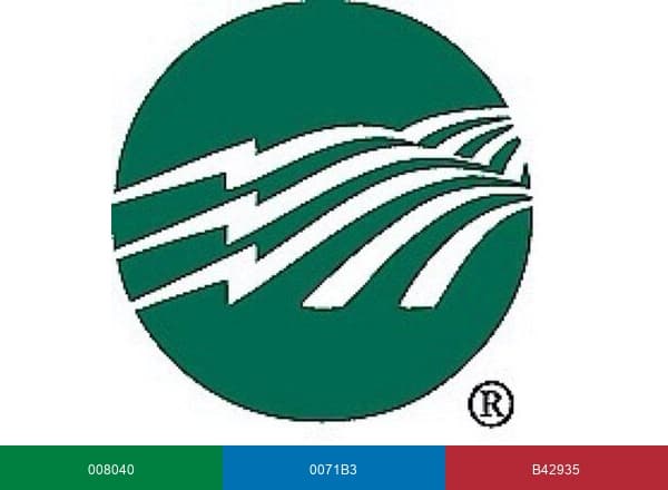 BGEnergy brand color palette