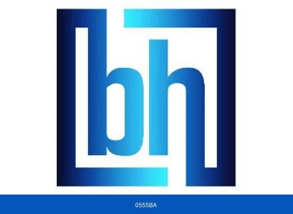 Berkshire Hathaway Specialty Insurance brand color palette
