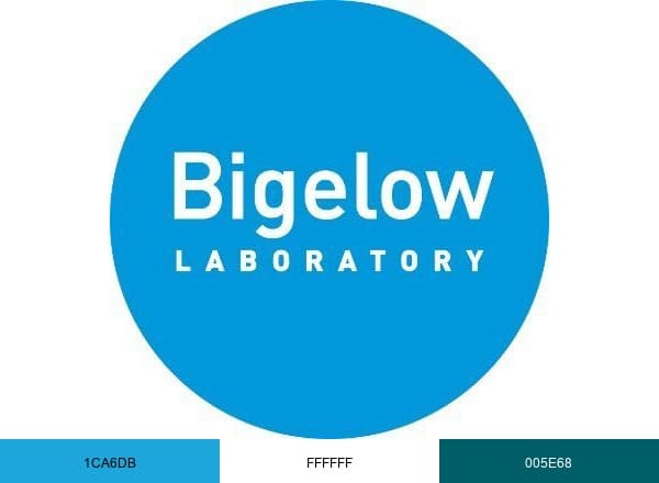 Bigelow Laboratory brand color palette