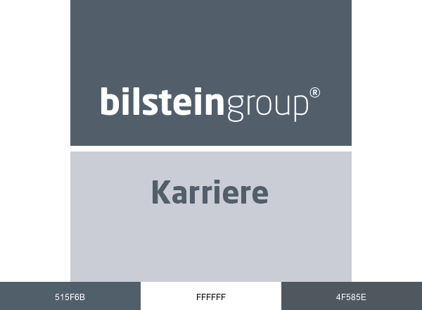 Karriere bei der bilstein group brand color palette