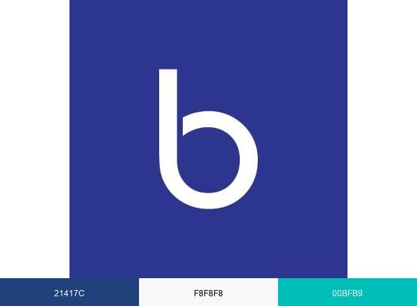 Binaps Suite brand color palette