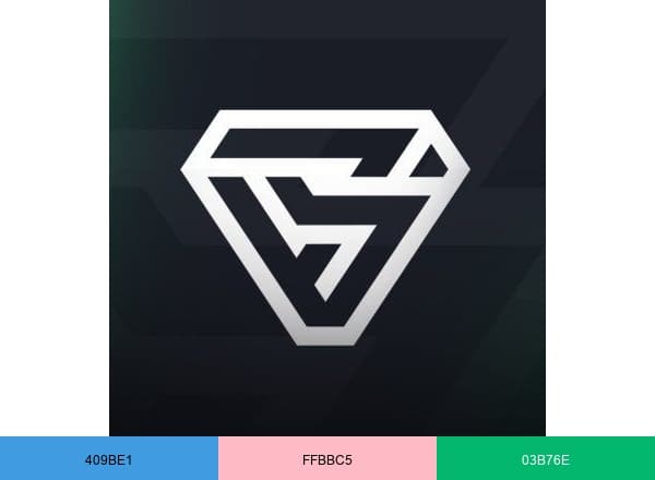 BitSkins brand color palette