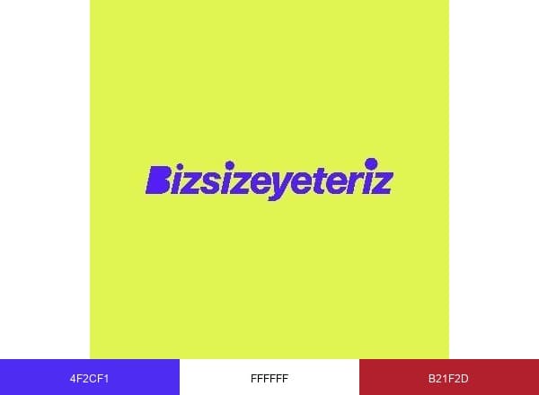 Bizsizeyeterizcom brand color palette