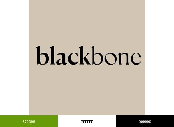 Blackbone Design brand color palette