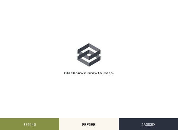 Blackhawk Growth brand color palette