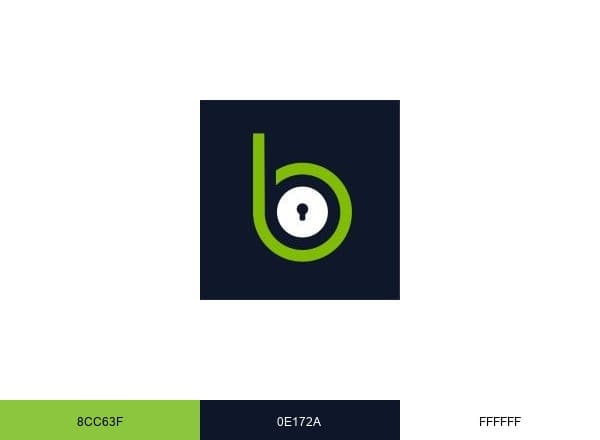 Blackpoint brand color palette