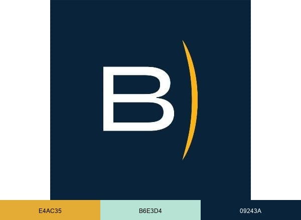 BlackSky brand color palette