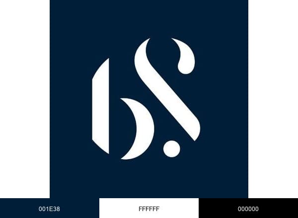BlueStone brand color palette