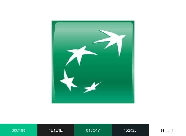 BNP Paribas Group brand color palette