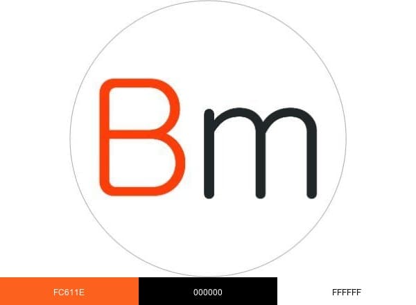 Bolsamania brand color palette