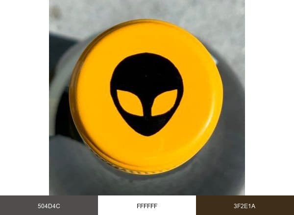 Bonny Doon Vineyard brand color palette